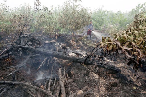 Officers spray water on forest fires in a concession area in Tulung Selapan, Ogan Komering Ilir, South Sumatra, in this Oct. 28, 2015, file photo. 