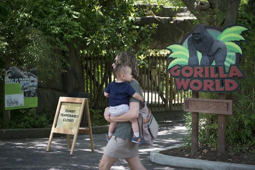'Mommy loves you!': Boy rescued after gorilla is shot at zoo