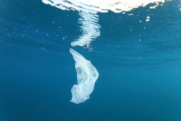 Combatting marine plastic debris