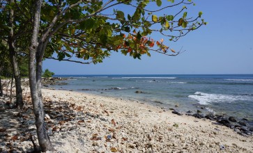 Tourism minister officiates new diving center in Tanjung Lesung