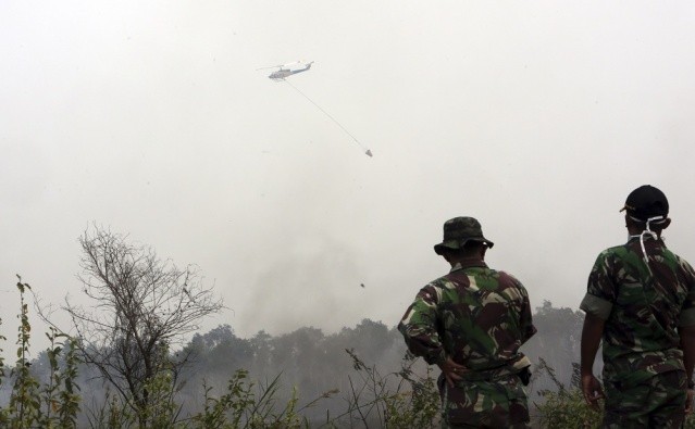 West Sumatra on alert over possible forest fires - Jakarta Post