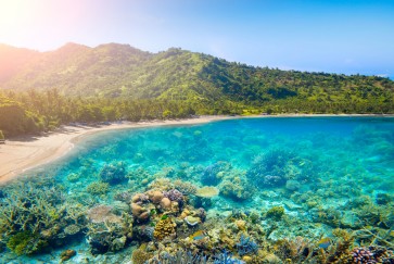 Lombok eyes more foreign tourists with family-friendly concept