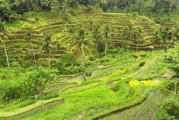 The most affordable times for domestic travel in Indonesia