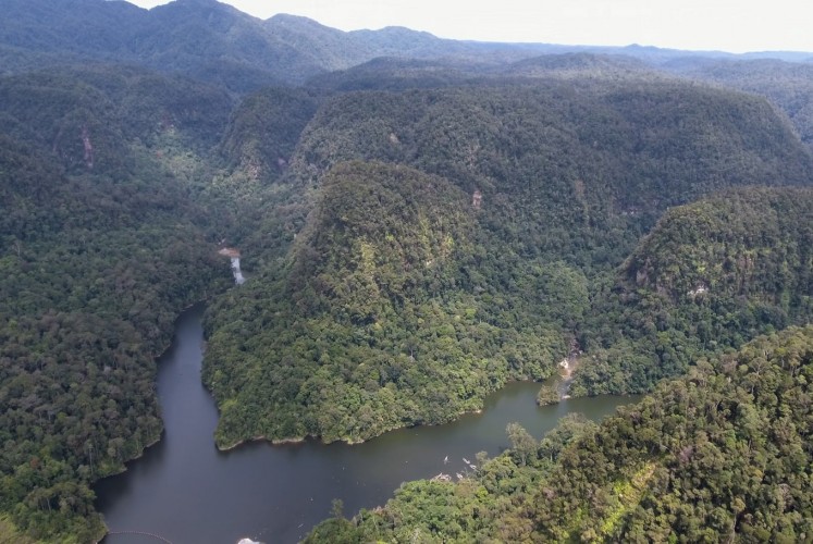 A large hydroelectrical project is planned right in the middle of the primary – and only – habitat for the Sumatran orangutan species that dwell in North Sumatra, along the Batang Toru river to the south of Lake Toba.
