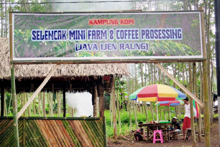 Selencak Mini Farm and Coffee Processing in Bondowoso