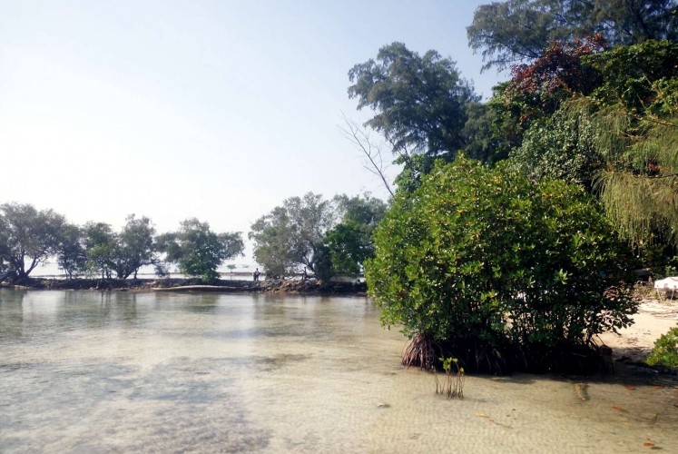 Protective shade: Mahariah strives to protect the remaining mangrove forest on Panggang and Pramuka islands, along with residents who have joined her Rumah Hijau movement. Mangrove forests protect the islands’ environment by preventing brine from contaminating the groundwater.