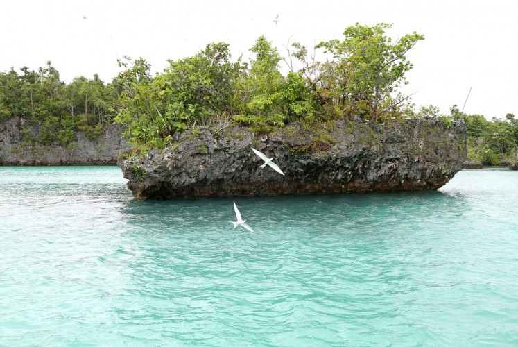 Pristine: Bair Island from another angle. Many tourists compare the beauty of this island to Papua's famous Raja Ampat.
