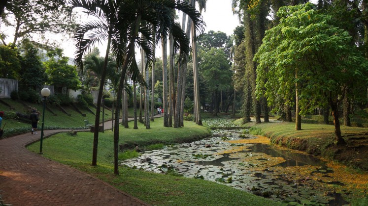 Stepping into Taman Langsat instantly transports you away from the busy Jakarta streets and slows down your day as you enjoy the secluded tranquility.