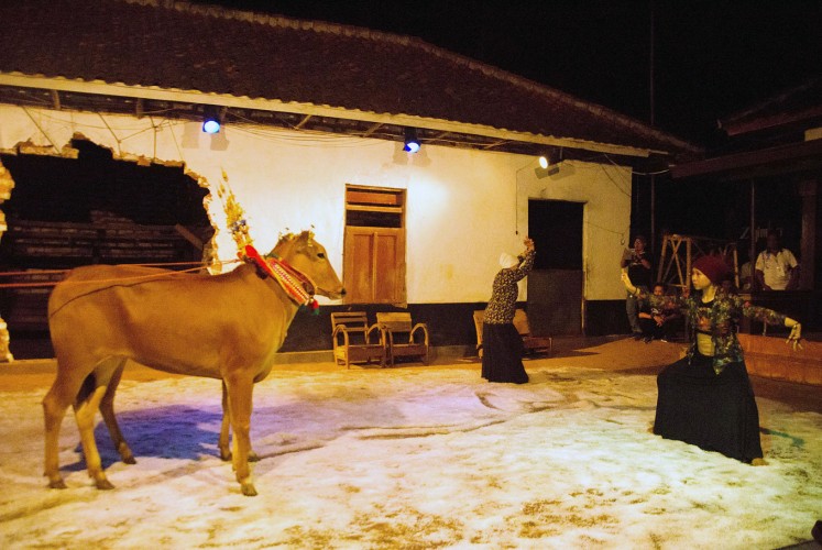 Real life on stage: The show's props include cows and salt, which are inseparable from the life of Madurese people. Anwari introduces the anthropological theater concept during a performance in his hometown, in which the stage setting is focused on villages, natural environs and family members.