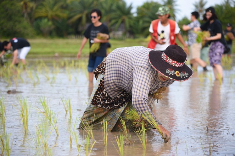 A resident of Koh Klang shows ASEAN journalists how to do rice farming. 