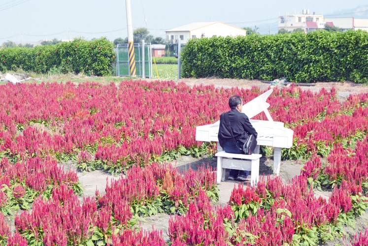 Zhong She Guanguang Flower Market