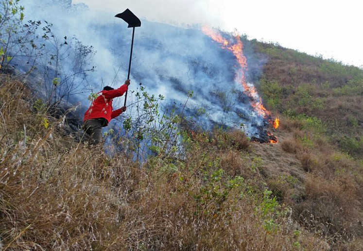 An officer from the Mount Rinjani National Park (TNGR) Agency tries to put out the fire that burnt some areas in the park on Monday.