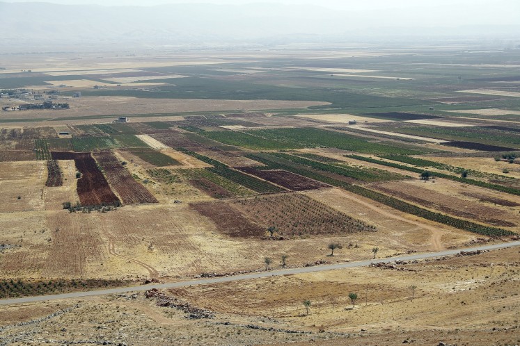 A general views of vineyards planted next to cannabis fields on the outskirts of Deir al-Ahmar in the Beakaa Valley.