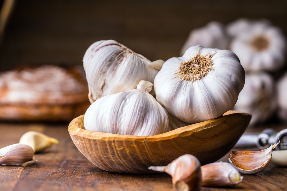 Image result for Garlic