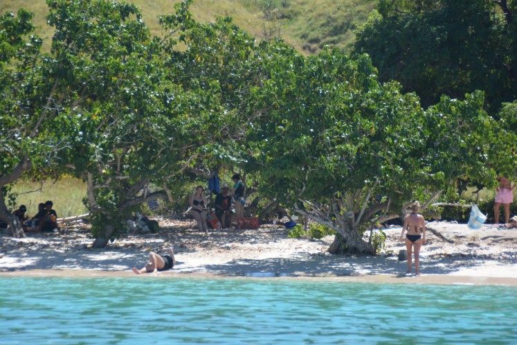 Tourists enjoy the Pink Beach at the Komodo National Park in West Manggarai, Flores, East Nusa Tenggara (NTT) on May 10. Various activities such as snorkeling and diving are also offered to visitors.