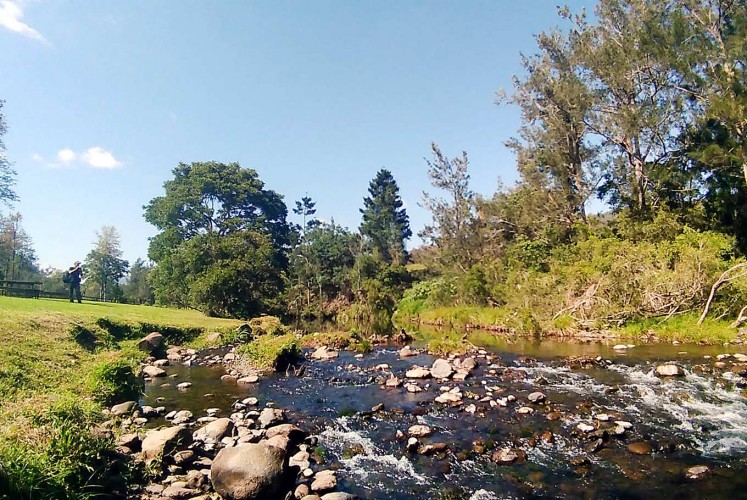 Fresh air: Canungra creek that runs behind O Reilly’s Canungra Valley Vineyard. 