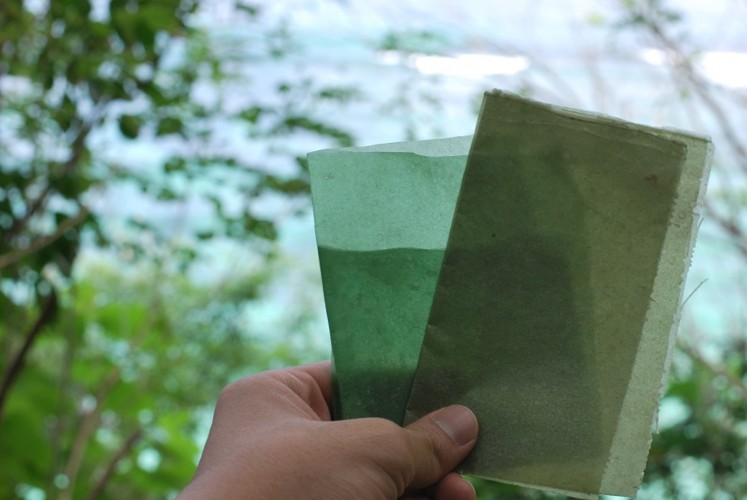 Evoware is able to produce 60 sheets of biodegradable packaging in a day.