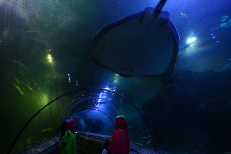 Inside a tunnel that is connected to the Main Aquarium at SeaWorld, Ancol, in North Jakarta.
