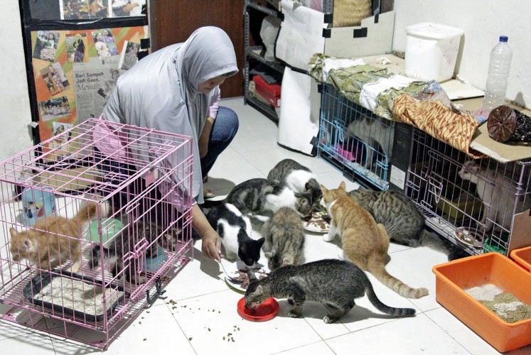 Chow time: A member of SAR Kucing feeds stray sheltered in her home, which accommodates around 20 cats.
