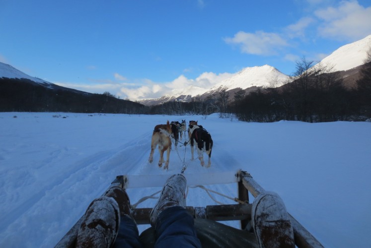 Mush, mush: On a dog-pulled sled in Ushuaia