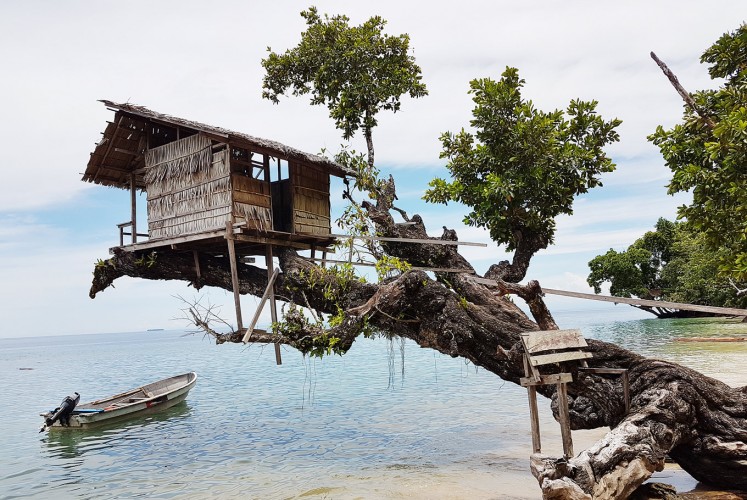 Home sweet home: A treehouse at Kali Lemon Dive Resort.