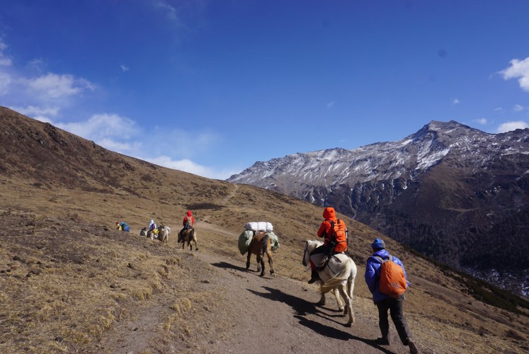 The trekking path at Mt. Siguniang.