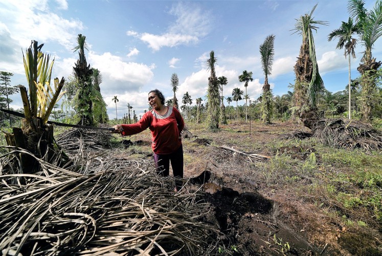 To be replaced: Poniyem points out her dead oil palms. She wants to grow plants that are more suitable to peatland.