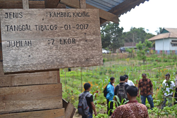 Free from chemicals: Farmers in Lembah Hijau 2 village in Nanga Tayap district, Ketapang regency, West Kalimantan, use compost and chemical-free insecticides for their crop fields.  