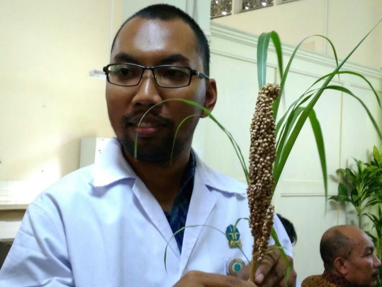 Green energy?: Arief Noor Rachmadiyanto, a researcher with Bogor Botanical Gardens’ plant conservation center, shows sorghum and cogon grass to journalists at a press conference in Bogor, West Java, on Wednesday.