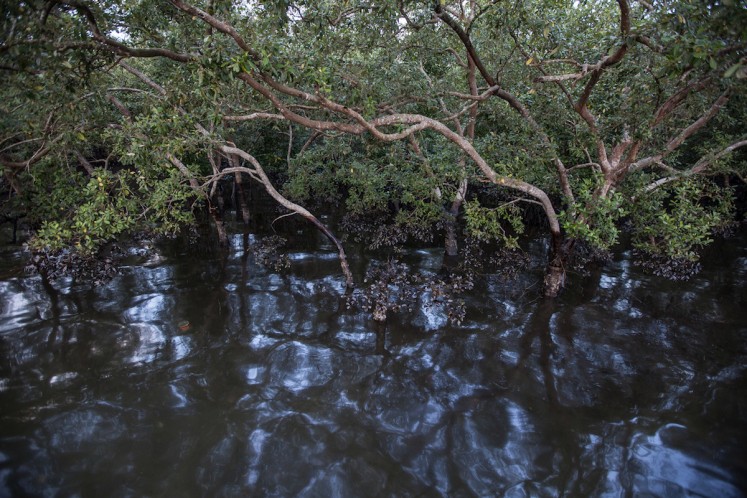 The mangrove forest is contaminated by oil spill in Kariangau village, Balikpapan Bay, East Kalimantan. An oil spill off Balikpapan Bay in Borneo island that led to five deaths and the declaration of a state of emergency, was caused by a burst undersea pipe belonging to Indonesia's state oil company Pertamina. Photo taken on April 5, 2018.