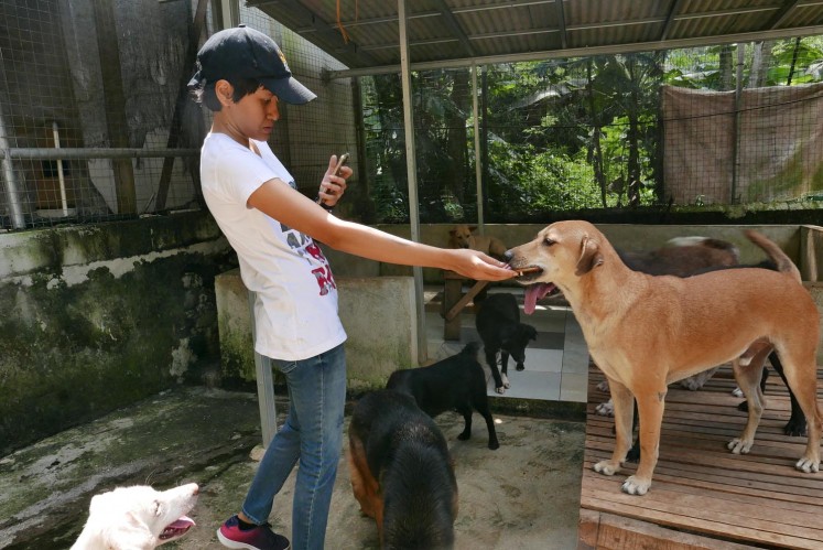 Icha, the operational director of Garda Satwa Indonesia, takes a photo of one of the dogs. 