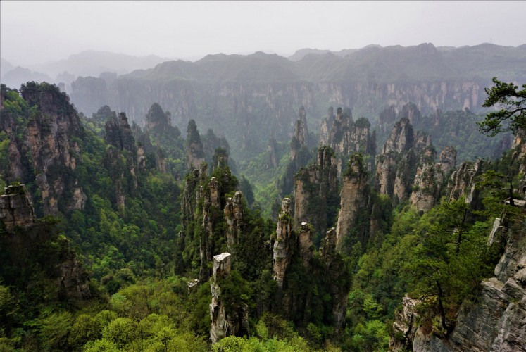 Scenic view in Zhangjiajie National Forest Park