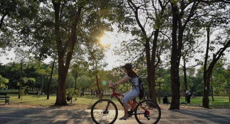 Bangkok’s Chatuchak, urban dwellers can enjoy walking, jogging, biking or even picnicking. 