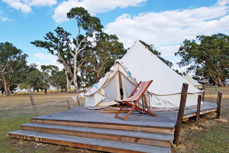 Laidback scene: A tent on Bellwether campground surrounded by red gums.
