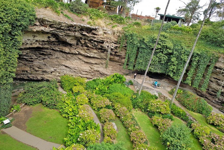 Perfect daylight: Visitors enjoy the greenery of Umpherston Sinkhole, also known as the Sunken Garden, in the afternoon.