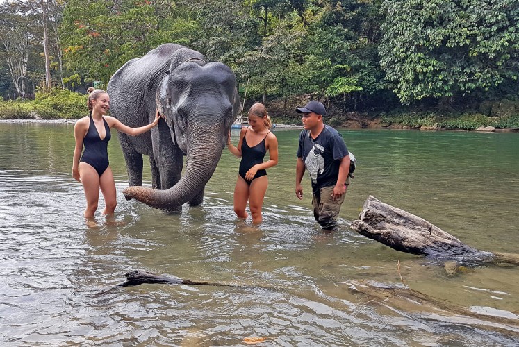 Play time: Two Swedish tourists play with an elephant.Play time: Two Swedish tourists play with an elephant.