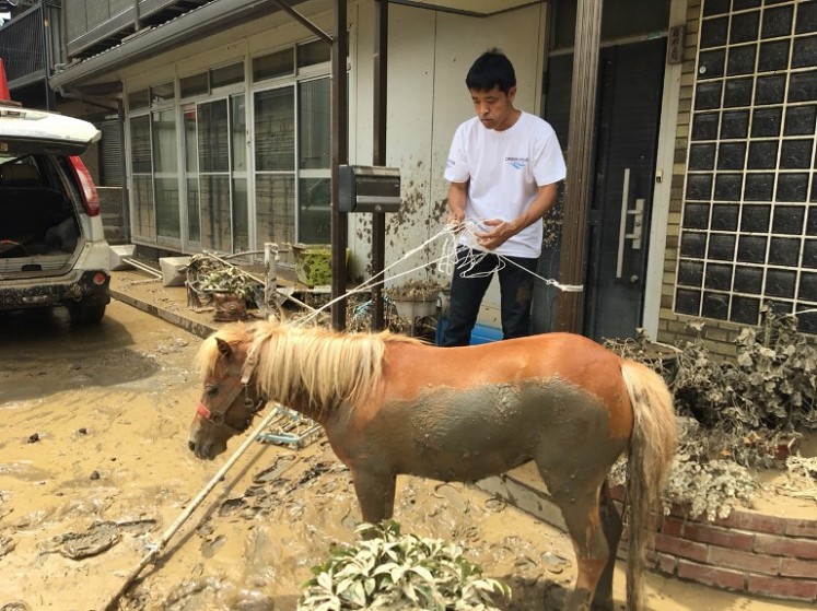 This handout picture taken on July 9, 2018 by the NGO Peace Winds Japan shows a miniature horse after being rescued from a rooftop following the recent flooding in the Mabicho area in Kurashiki, Okayama prefecture. The miniature horse who survived deadly floods by swimming to a rooftop has captured hearts in Japan, as the country tries to recover from record rains that killed at least 179 people.