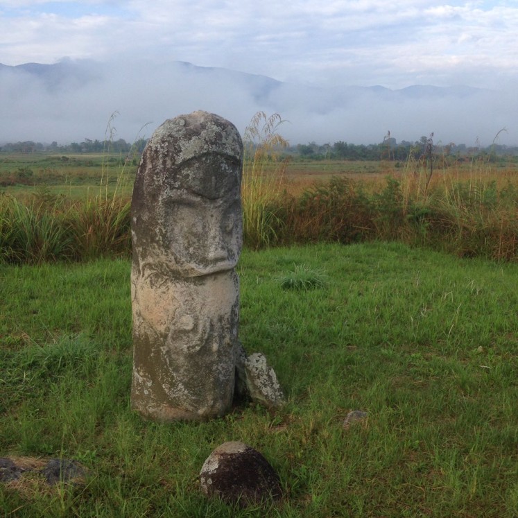 The stone statues found in the valley have thin bodies, big heads, round eyes and lines depicting eyebrows, cheeks and chins. 