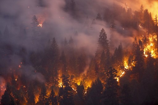 Forest burns in the Carr Fire on July 30, 2018 west of Redding, California. Six people have died in the massive fire, which has burned over 100,000 acres and forced thousands to evacuate since it began on July 23. 