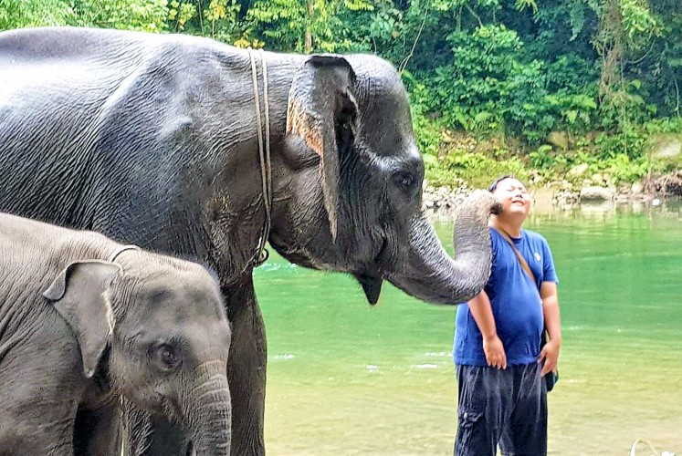 Here you go: An elephant touches a tourist’s face with its trunk. 
