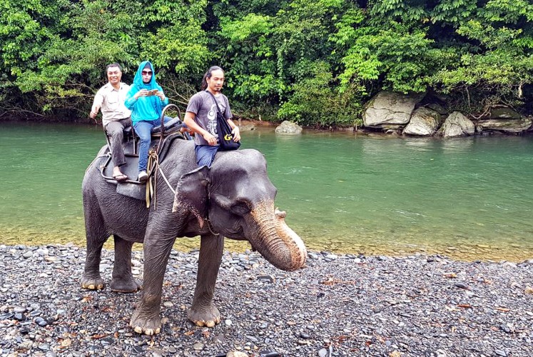 Into the jungle: Tourists ride an elephant. 