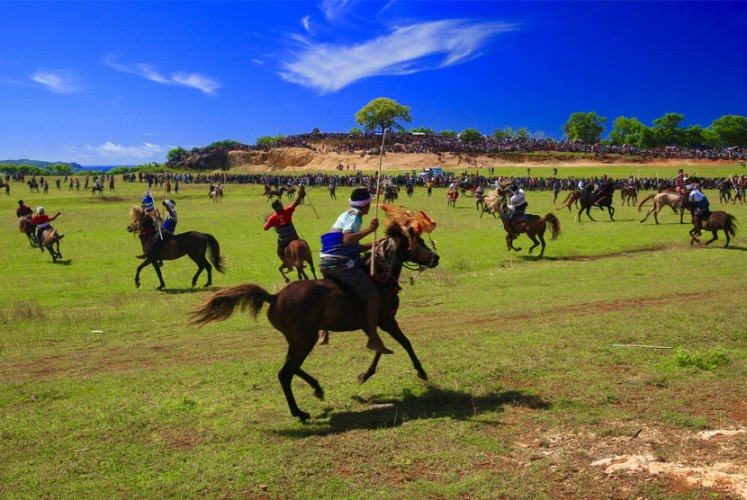 Skillful riders: Locals take part in a buffalo and horse race, a very common activity in  Sumbawa, West Nusa Tenggara. 