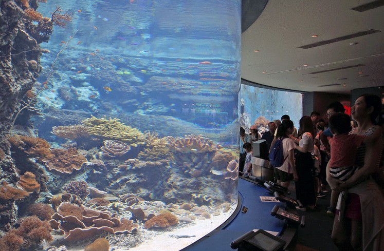 Living rocks: Visitors marvel at manifold coral reefs in the Okinawa Churaumi Aquarium.