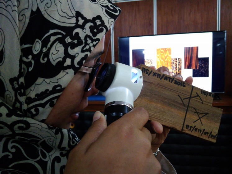 Wood researcher Ratih Damayanti examines a wood specimen sample with a magnifying tool. 