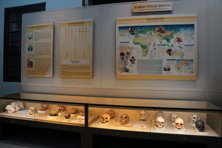 A glimpse of the Geological Museum's display of bone artifacts.