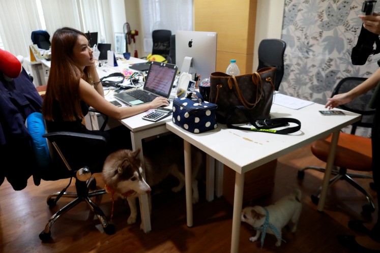Dogs are seen near a New's desk as she works in an office of a digital advertising agency which promotes bring-your-dog-to-work in Bangkok, Thailand September 27, 2018.