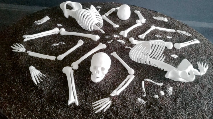 Circle of life: Maradita Sutantio has arranged skeletons in a mandala-like shape in After the Promised Land.