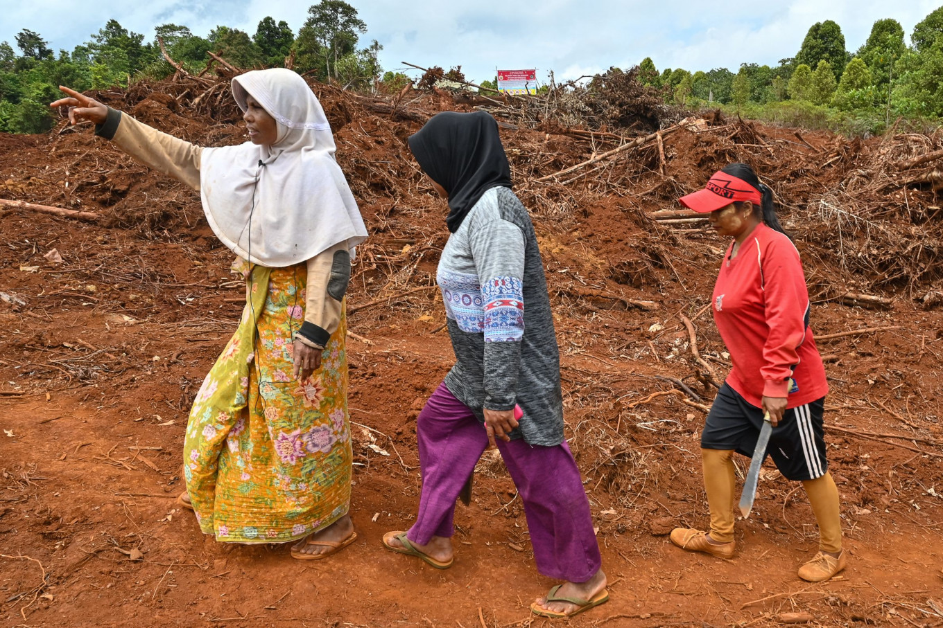 Farmers Fight For Their Land In Nickel Mining Boom Tue March