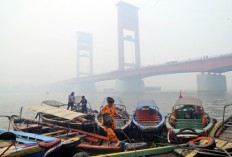 Reviewing Indonesia's emissions commitment