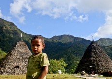 Solving land problems for sake of indigenous peoples